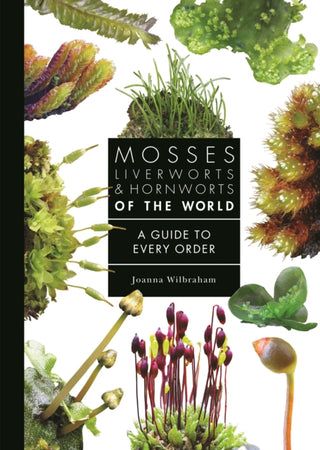 Cover image for 9780691265193 - Mosses, Liverworts, and Hornworts of the World