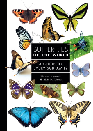 Cover image for 9780691265209 - Butterflies of the World – A Guide to Every Subfamily