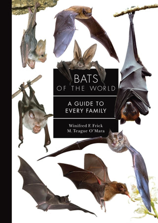Cover image for 9780691265216 - Bats of the World