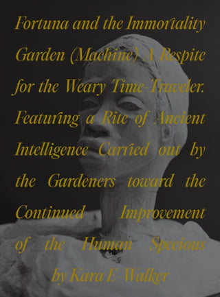 Cover image for 9780691271408 - Fortuna and the Immortality Garden (Machine) – A Respite for the Weary Time–Traveler. Featuring a Rite of Ancient Intelligence Carried out by the Ga