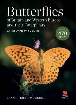 Cover image for 9780691271798 - Butterflies of Britain and Western Europe and Their Caterpillars – An Identification Guide