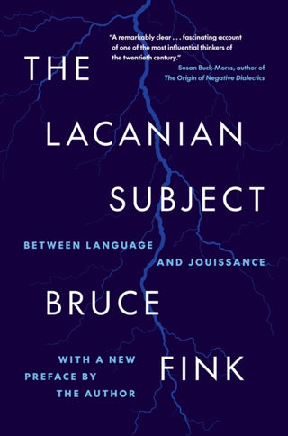 Cover image for 9780691272917 - The Lacanian Subject