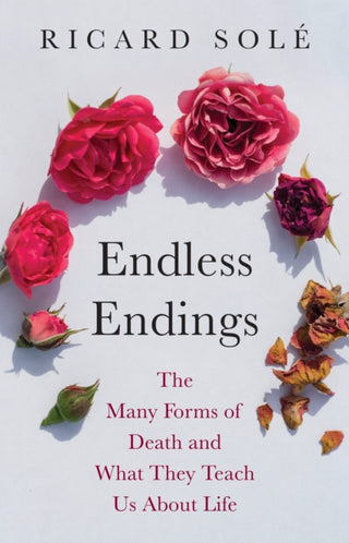 Cover image for 9780691276274 - Endless Endings