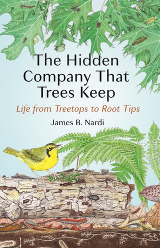 Cover image for 9780691277455 - The Hidden Company That Trees Keep – Life from Treetops to Root Tips