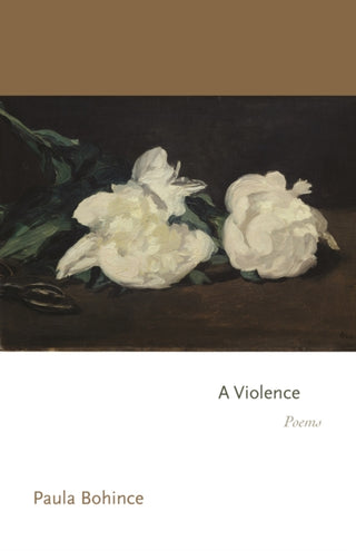 Supplemental image for 9780691277769 - A Violence