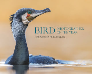 Cover image for 9780691278674 - Bird Photographer of the Year
