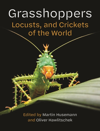 Cover image for 9780691281056 - Grasshoppers, Locusts, and Crickets of the World