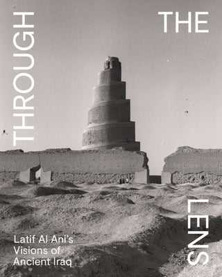 Cover image for 9780691973920 - Through the Lens