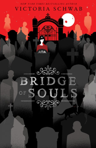 Cover image for 9780702304286 - Bridge of Souls