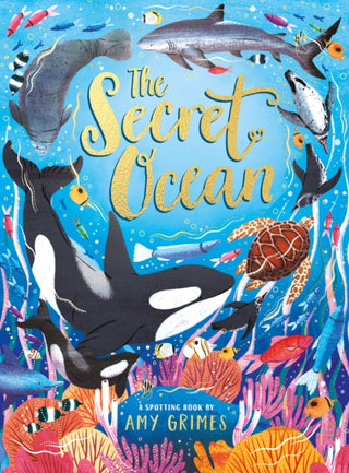 Cover image for 9780702331220 - The Secret Ocean