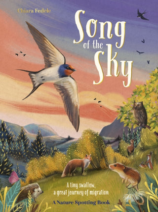 Cover image for 9780702331282 - Song of the Sky