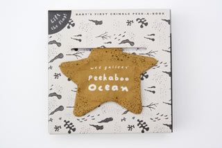 Cover image for 9780711275331 - Peekaboo Ocean
