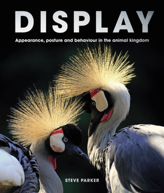 Supplemental image for 9780711278523 - Display