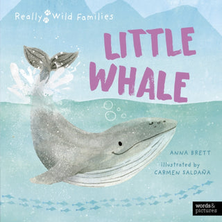 Supplemental image for 9780711283541 - Little Whale