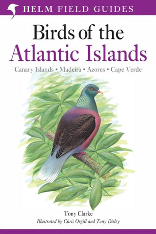 Cover image for 9780713660234 - Field Guide to the Birds of the Atlantic Islands