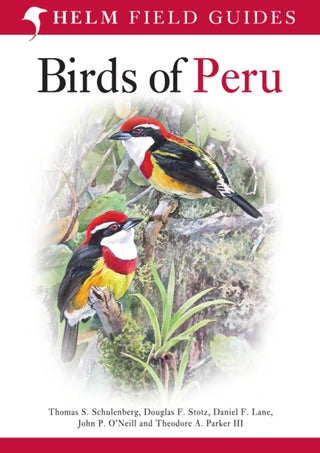 Cover image for 9780713686739 - Field Guide to Birds of Peru