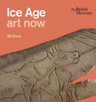 Cover image for 9780714123516 - Ice Age art now