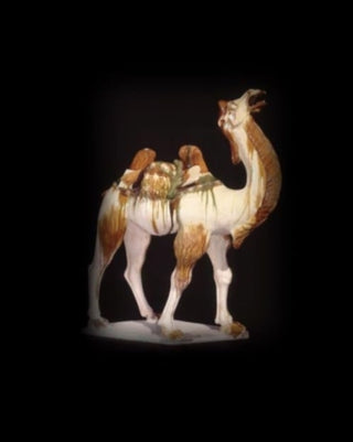 Supplemental image for 9780714124971 - Silk Roads