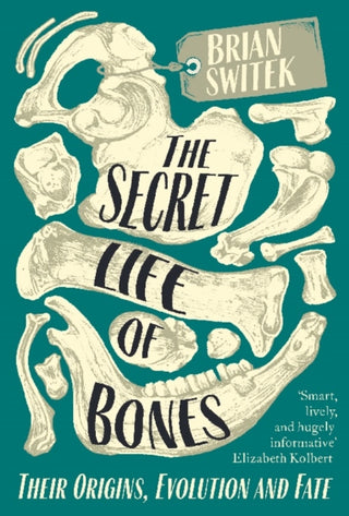 Cover image for 9780715653791 - The Secret Life of Bones