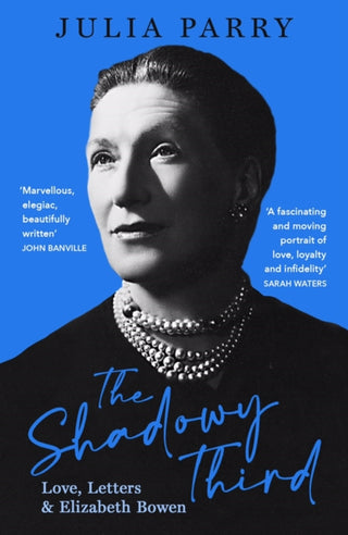 Cover image for 9780715654491 - The Shadowy Third