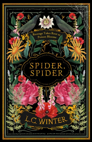 Cover image for 9780715655825 - Spider, Spider