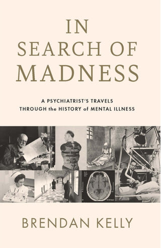 Cover image for 9780717193783 - In Search of Madness
