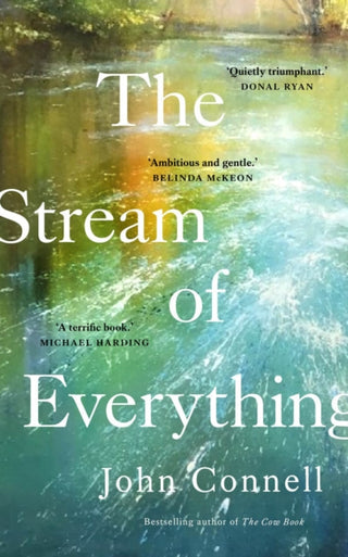 Cover image for 9780717194643 - The Stream of Everything