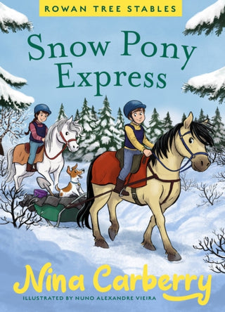 Cover image for 9780717198733 - Rowan Tree Stables 3 - Snow Pony Express