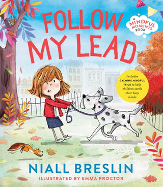 Cover image for 9780717199112 - Follow My Lead