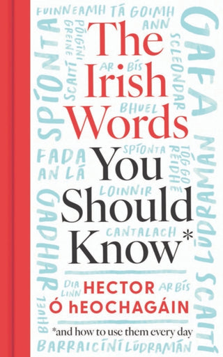 Cover image for 9780717199860 - The Irish Words You Should Know