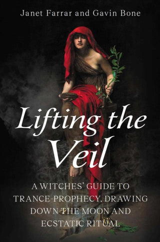 Cover image for 9780719831621 - Lifting the Veil