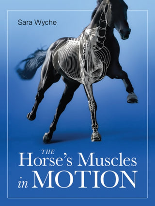 Supplemental image for 9780719840869 - Horse's Muscles in Motion