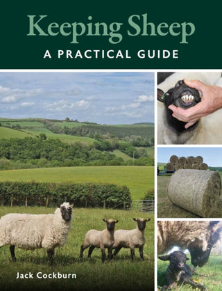 Cover image for 9780719842214 - Keeping Sheep