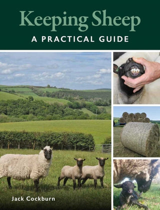 Supplemental image for 9780719842214 - Keeping Sheep