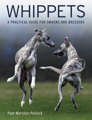 Cover image for 9780719842955 - Whippets