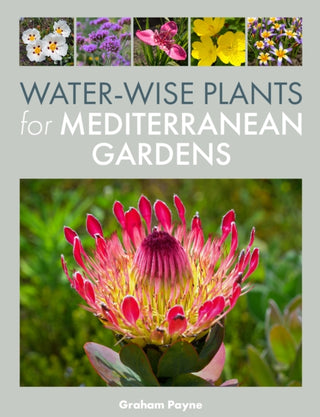 Cover image for 9780719845321 - Water-Wise Plants for Mediterranean Gardens