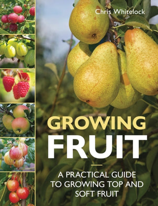 Cover image for 9780719845390 - Growing Fruit