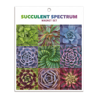 Cover image for 9780735364776 - Succulent Spectrum Magnet Set