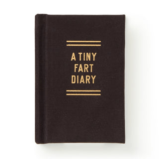 Cover image for 9780735381087 - A Tiny Fart Diary