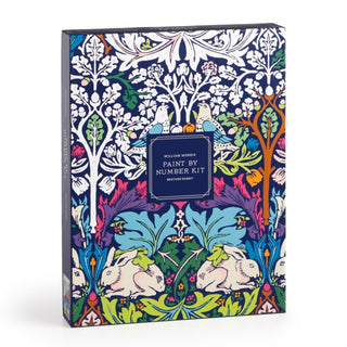 Cover image for 9780735388703 - William Morris Brother Rabbit 9 x 12" Paint by Number Kit