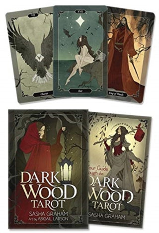 Cover image for 9780738759302 - Dark Wood Tarot