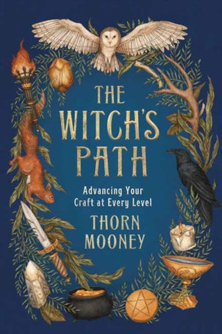Cover image for 9780738763774 - The Witch's Path