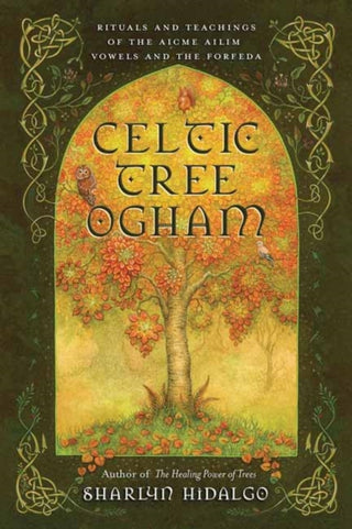 Cover image for 9780738768298 - Celtic Tree Ogham