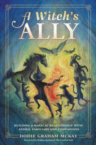 Cover image for 9780738770116 - A Witch's Ally