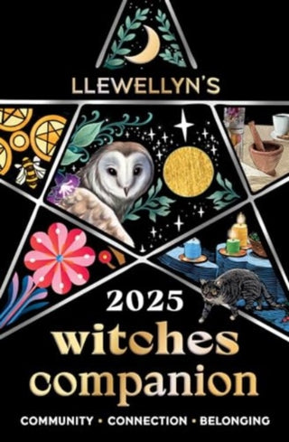 Cover image for 9780738772028 - Llewellyn's 2025 Witches' Companion