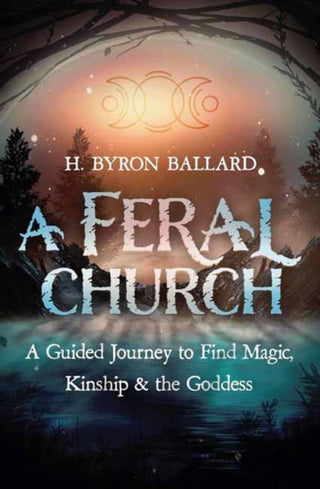 Cover image for 9780738776361 - A Feral Church