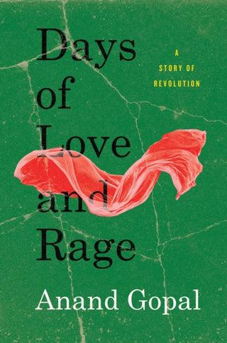 Cover image for 9780745342818 - Days of Love and Rage