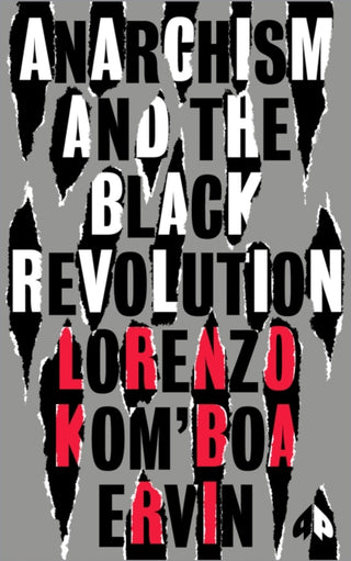 Cover image for 9780745345819 - Anarchism and the Black Revolution