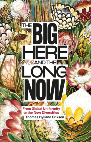 Cover image for 9780745352220 - The Big Here and the Long Now