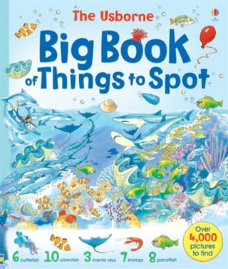 Cover image for 9780746053010 - Big Book of Things to Spot